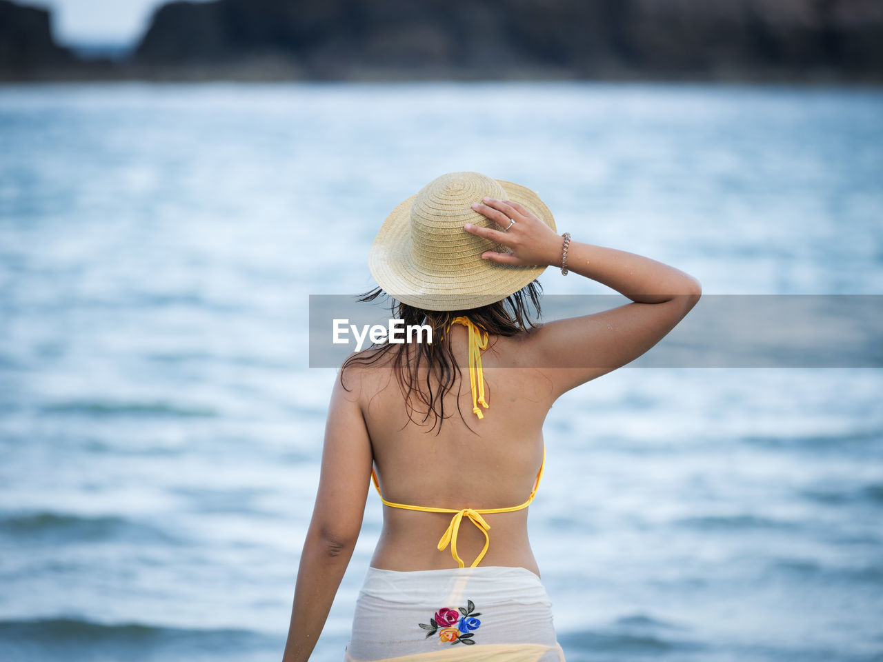 Rear View Of Woman Wearing Bikini And Sun ID