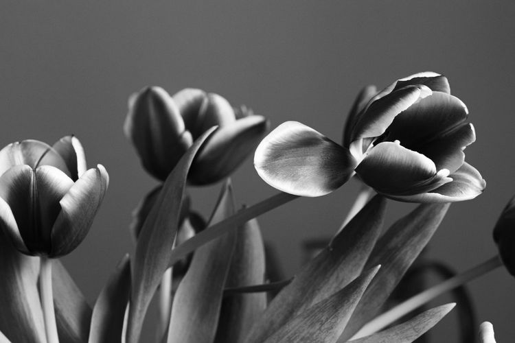black and white