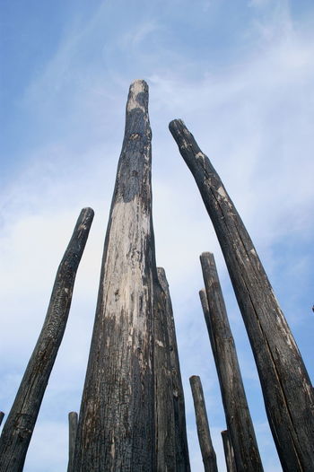 Low angle view of wooden post against sky