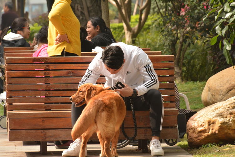 Man and woman with dog sitting on bench