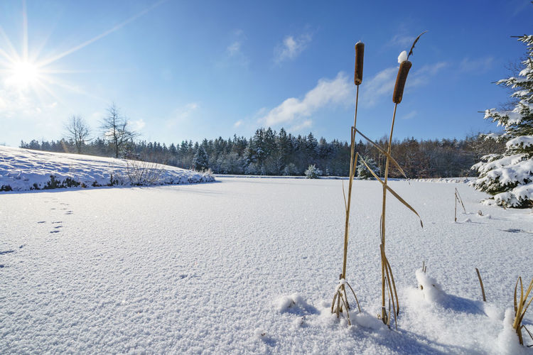 snow