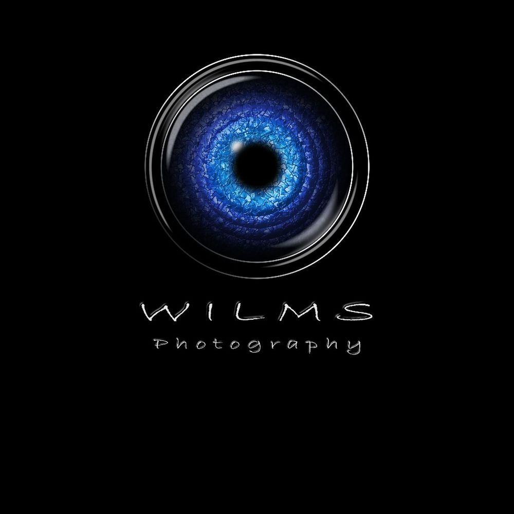 Wilms Photography