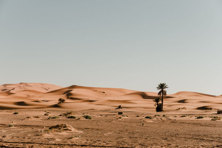 Great desert of sand dunes of the sahara
