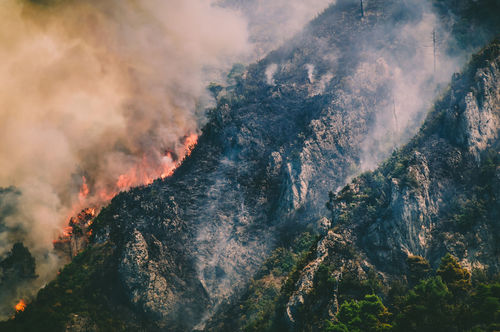 Aerial view of fire in forest