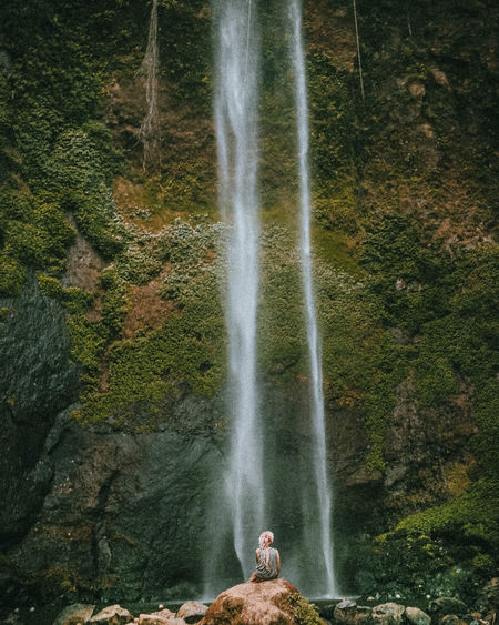 Scenic view of waterfall in forest