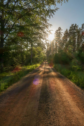 Empty road amidst trees against sky