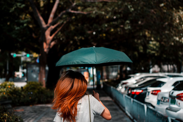 Rear view of woman with umbrella