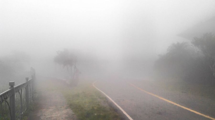 Road passing through forest