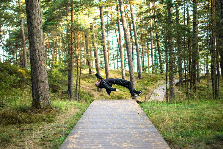 Dog in a forest