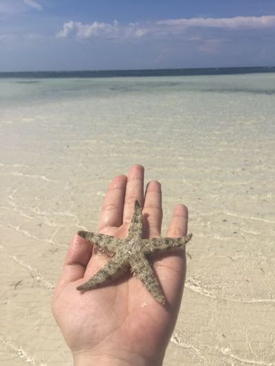 Midsection of person on sand at beach against sky