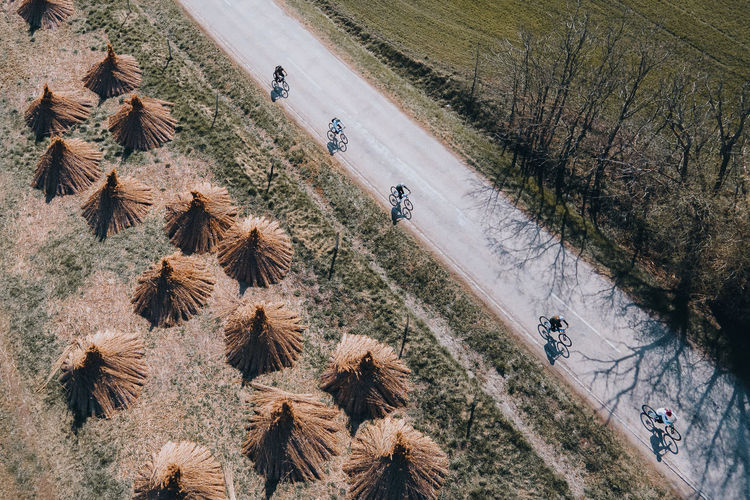 High angle view of bikers on road amidst field
