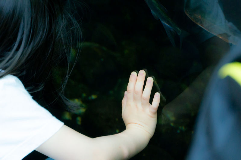 Close-up of girl looking at fish tank