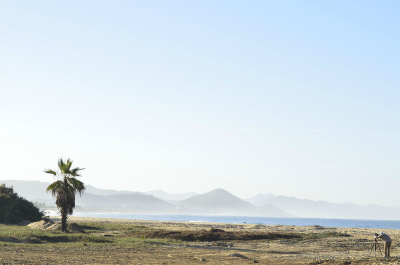 Scenic view of field against clear sky