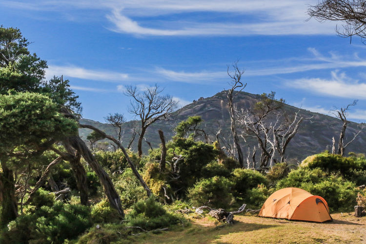 Camping ground at wilson promontory national park.