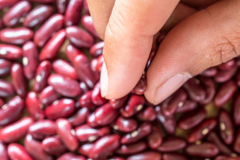 Cropped hand of person holding kidney beans