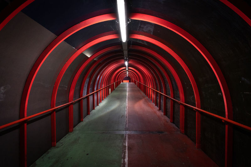 Tunnel of love