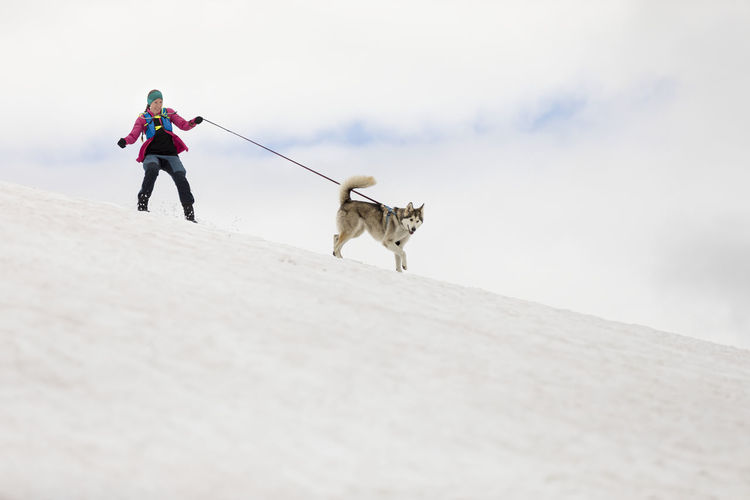 Woman hiking with husky dog