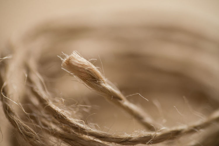 The close-up picture with brown vintage rope