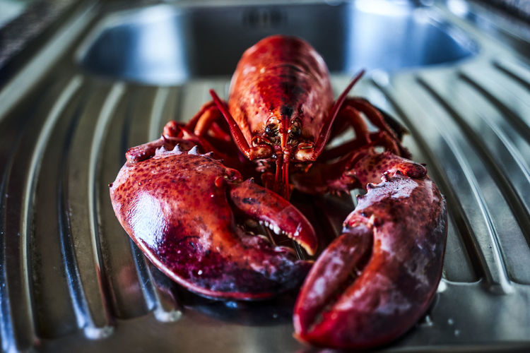 Closeup of a boiled lobster over a metal shelf
