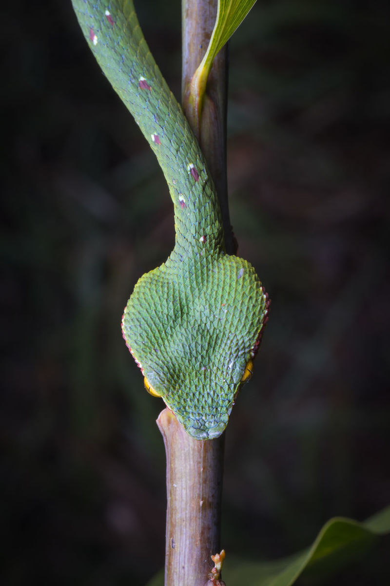 Page 7 Of Plaza Alam Sentral Shah Alam Pictures Curated Photography On Eyeem