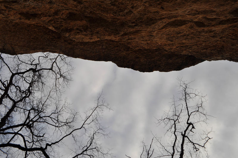 Low angle view of bare tree against sky