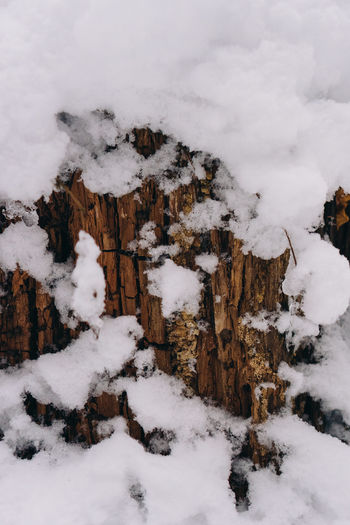 Wood and snow textures