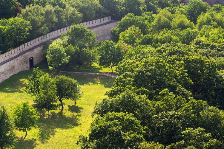 View of arch bridge over river against trees