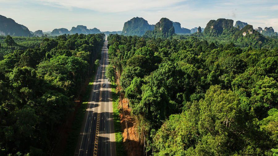 Panoramic view of trees and plants against sky