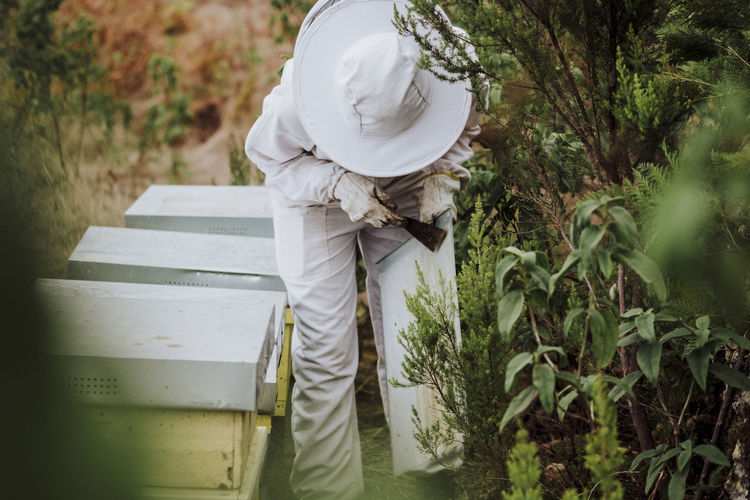 A young woman beekeeper working