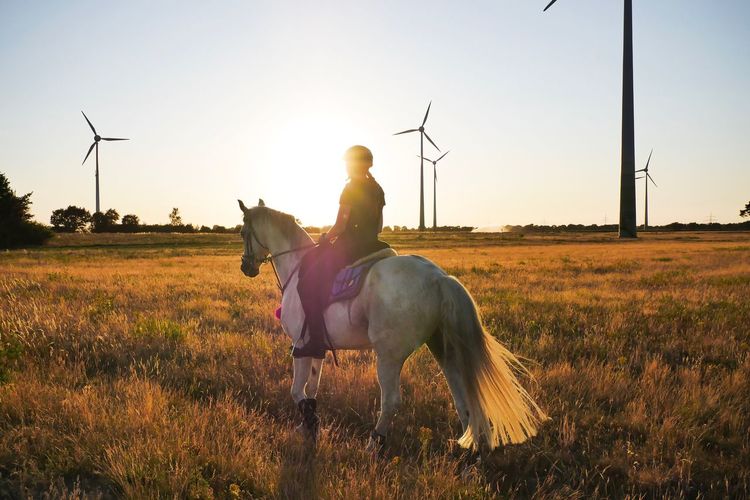 MAN RIDING HORSE IN FIELD