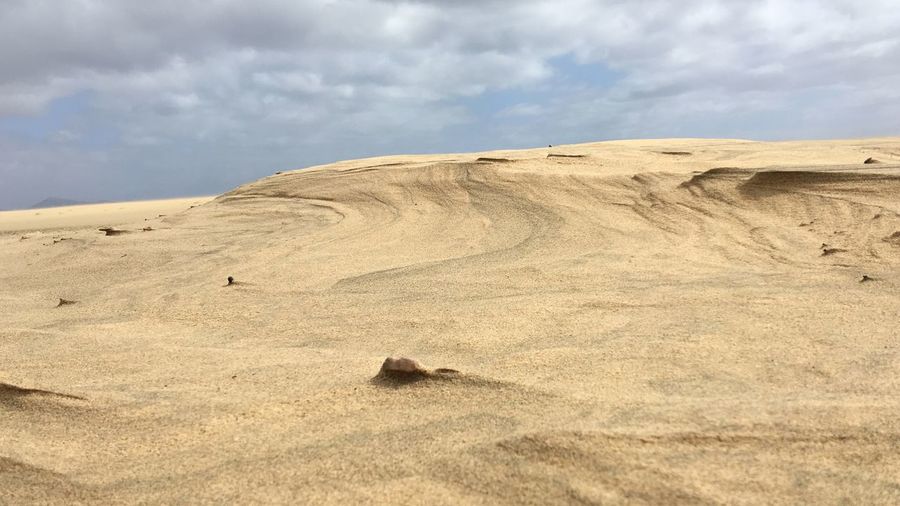 Scenic view of desert against sky