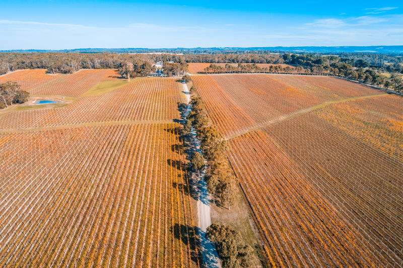Scenic vineyard on mornington peninsula, victoria, australia - aerial view