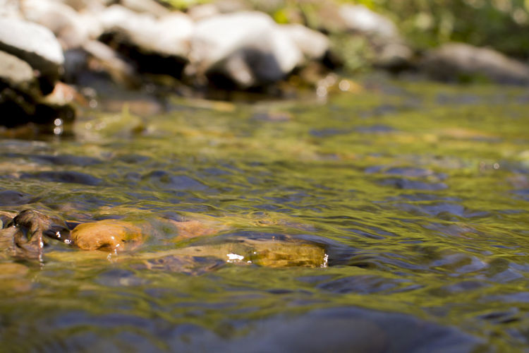 Rocks in water