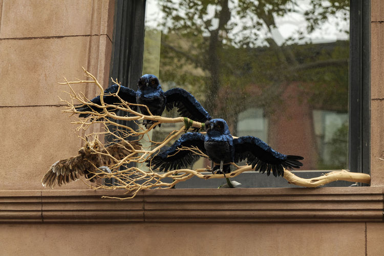 Halloween decoration of a blue owl in a nest on a window. halloween concept.