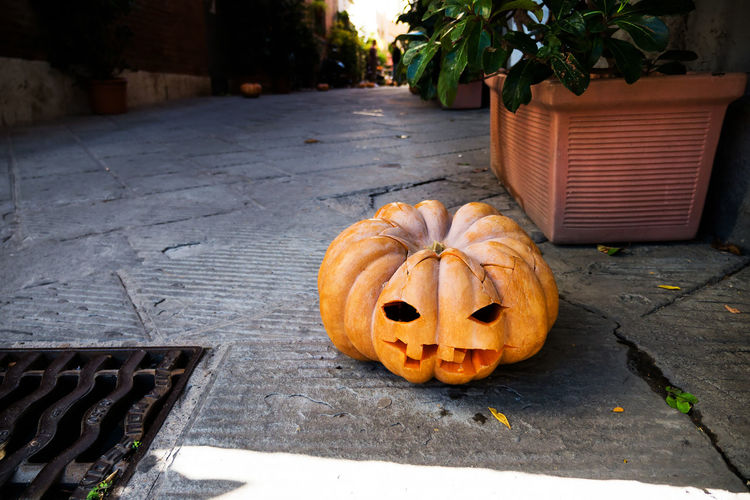 View of pumpkin on sidewalk