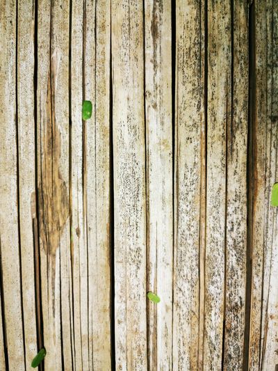 Detail shot of wooden fence
