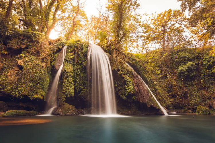 Scenic view of waterfall in rainforest