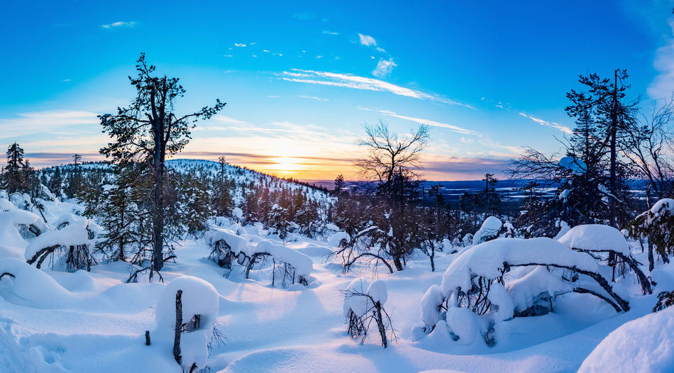 Scenic view of snow covered field against sky at sunset