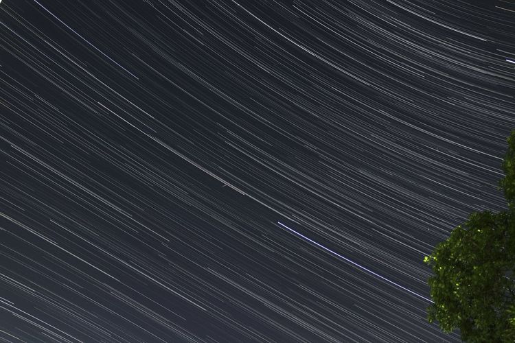 Full frame shot of tree against star field at night