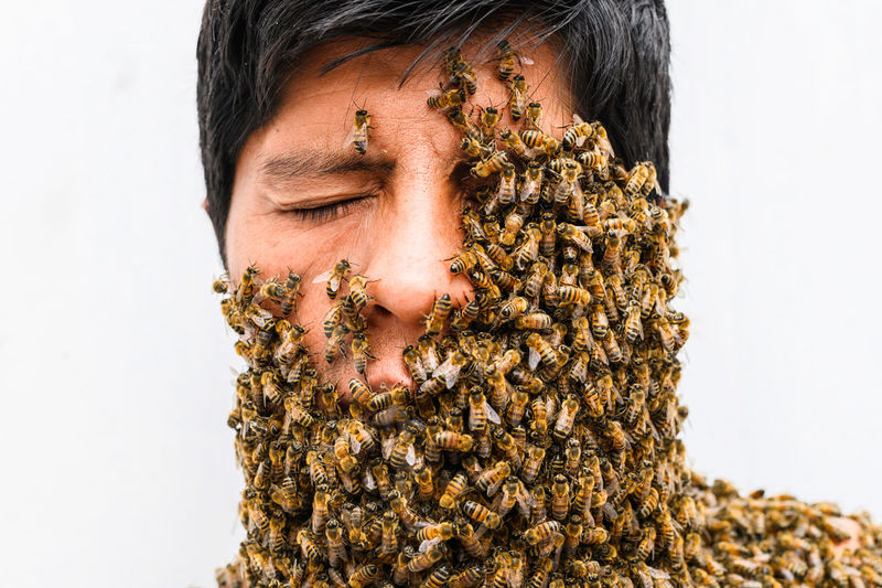 Close-up of man face with bees on it