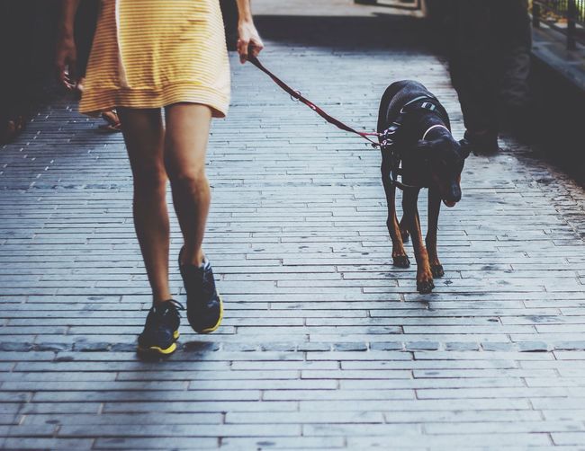 Woman walking with dog