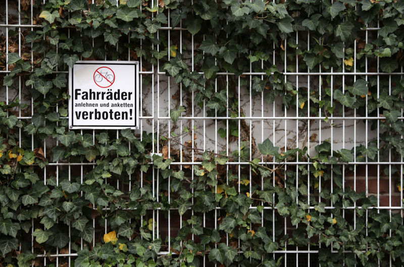 Plants covering fence with sign board