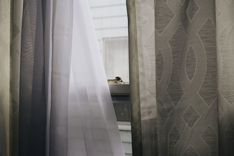 Curtains hanging against window at home