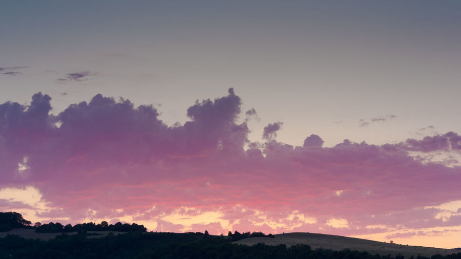 Low angle view of silhouette trees against sky during sunset