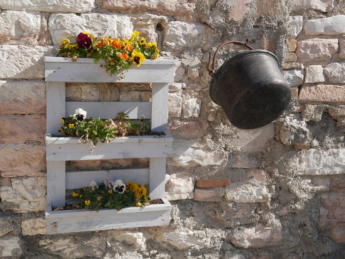 Potted plant against stone wall