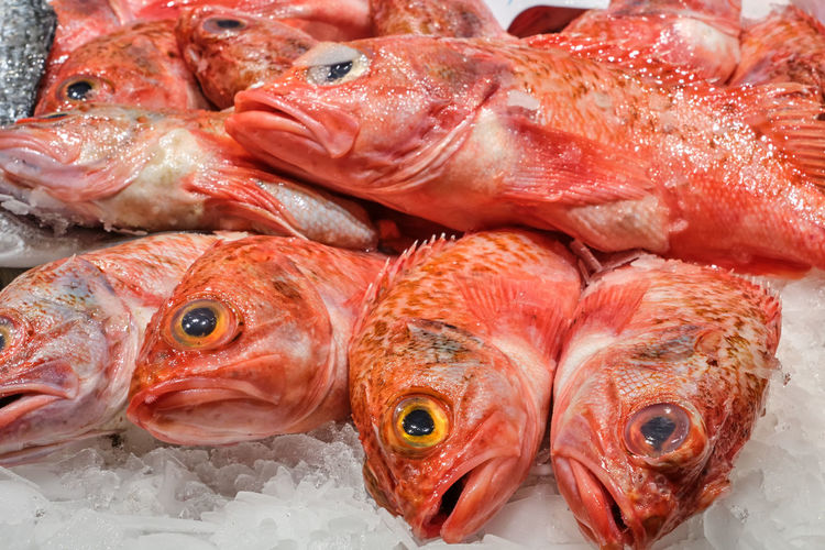 Red scorpionfish for sale at a market in barcelona, spain
