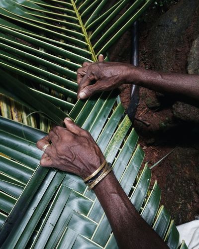 Cropped hand making artwork with palm leaf