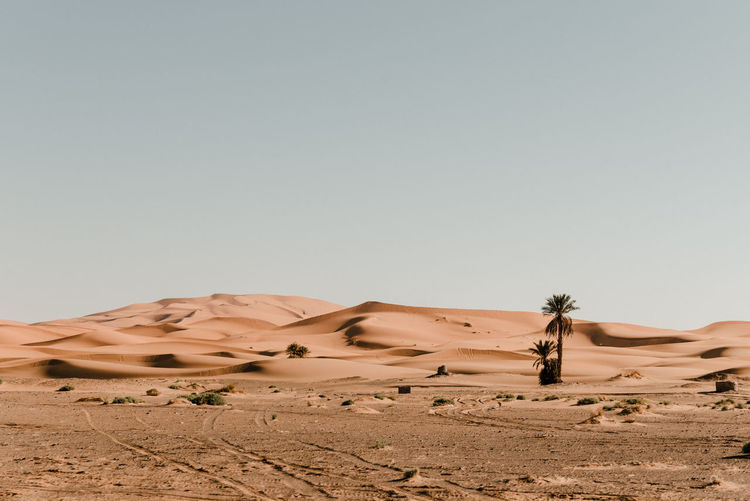 Great desert of sand dunes of the sahara