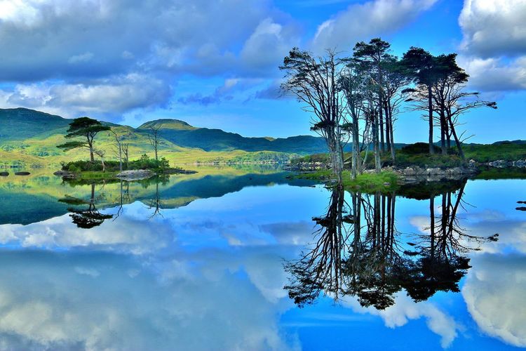 Scenic view of lake with trees and clouds reflection