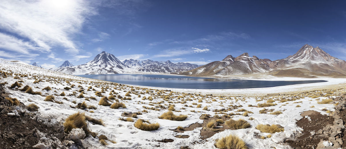 Lagunas altiplanicas environment in atacama desert